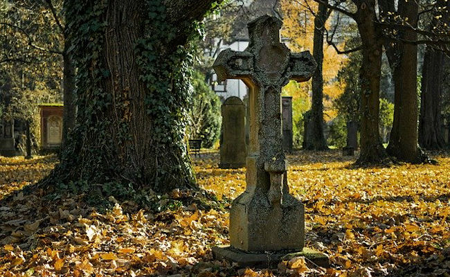 <h1>Finding our ancestors is exciting!</h1><p>We hope we help you find your spot in our family</p>
 						<p><a class='btn-small' href='histories/place1.php'>Histories</a></p>